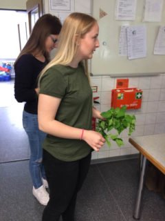 Die Schülerinnen und Schüler lernten die Heilkraft von Pflanzen kennen. Foto: SMMP/Sydow