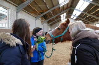 Blumen! Heilpferd Ghino war der Meinung, sie ständen ihm zu. Foto: SMMP/Hofbauer