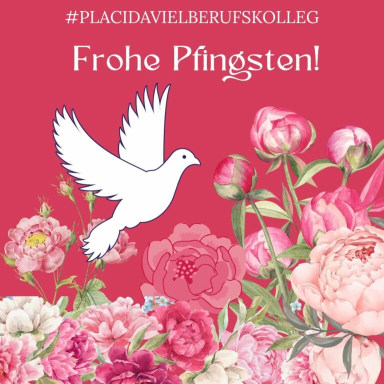 Kopie von Kopie von #PLACIDAVIELBERUFSKOLLEG (5)